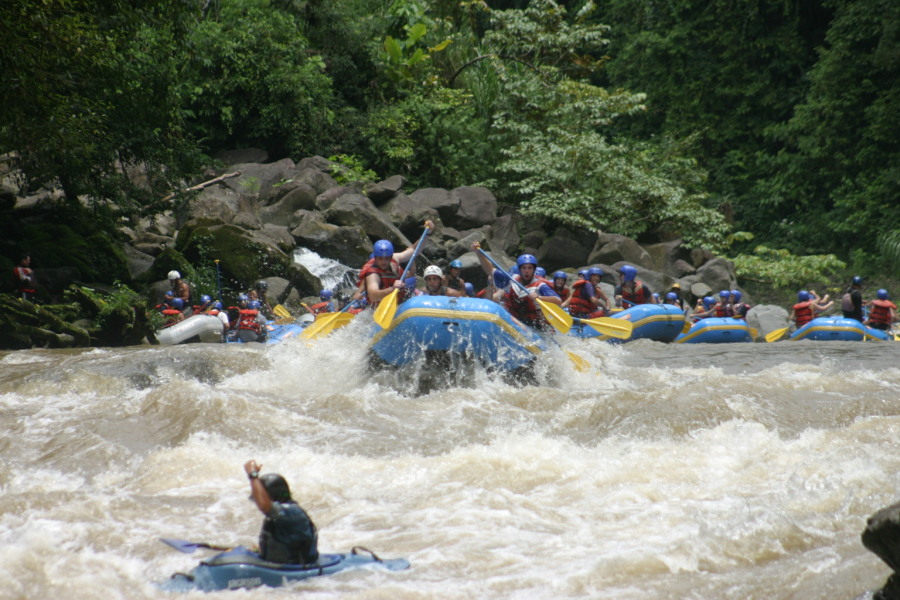 Pacuare, Sabado 26 de Agosto, 2006 004