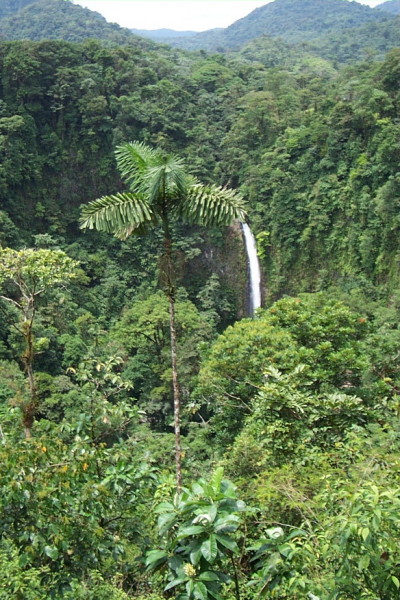 060831_La_Catarata_1_La_Fortuna