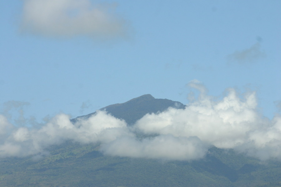 Pacuare,Martes 1 de agosto,2006 011