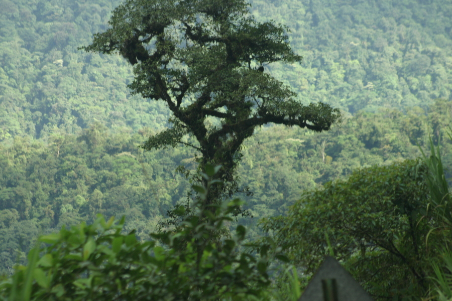 Parque Nacional Braulio Carrilo