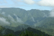 Parque Nacional Braulio Carrillo on way to the river